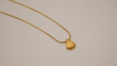 Beach Lovers - Elegant 18K Gold-Plated Shell Necklace